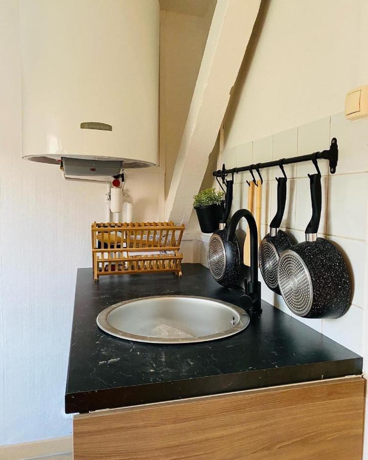 Appartement Avec Terrasse - Goupama Stadium, Eurexpo, Ldlc Arena, La Soie Vaulx-en-Velin Dış mekan fotoğraf