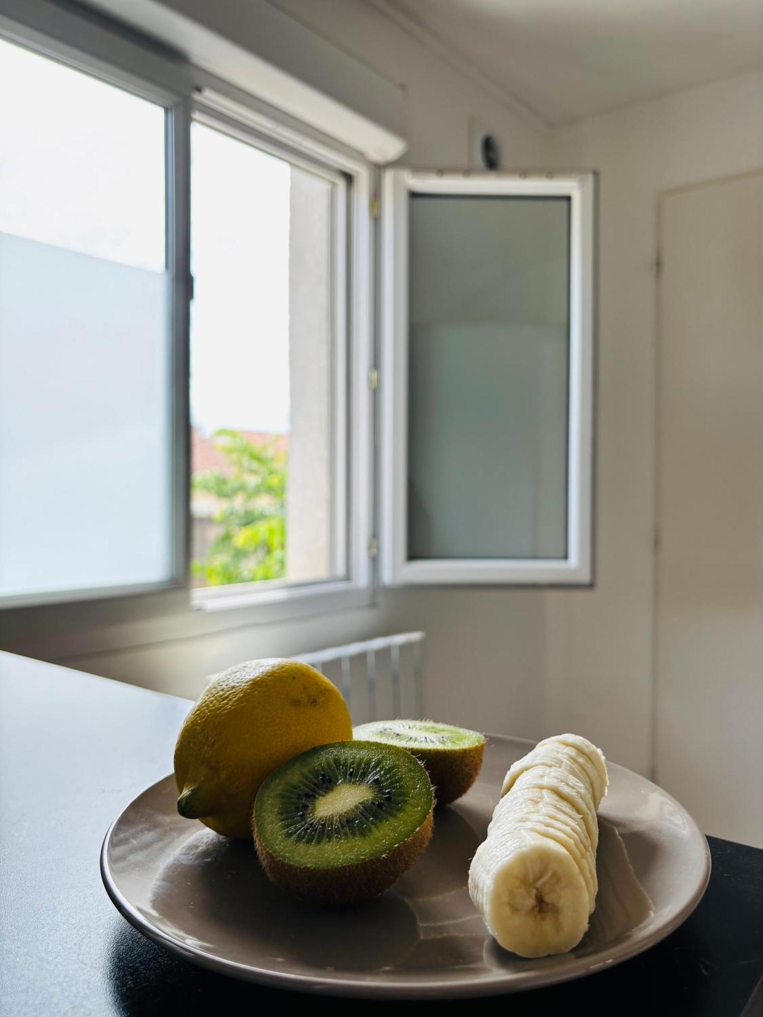 Appartement Avec Terrasse - Goupama Stadium, Eurexpo, Ldlc Arena, La Soie Vaulx-en-Velin Dış mekan fotoğraf