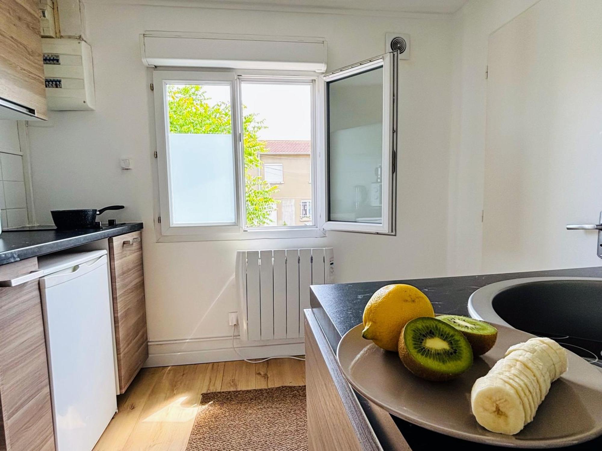 Appartement Avec Terrasse - Goupama Stadium, Eurexpo, Ldlc Arena, La Soie Vaulx-en-Velin Dış mekan fotoğraf